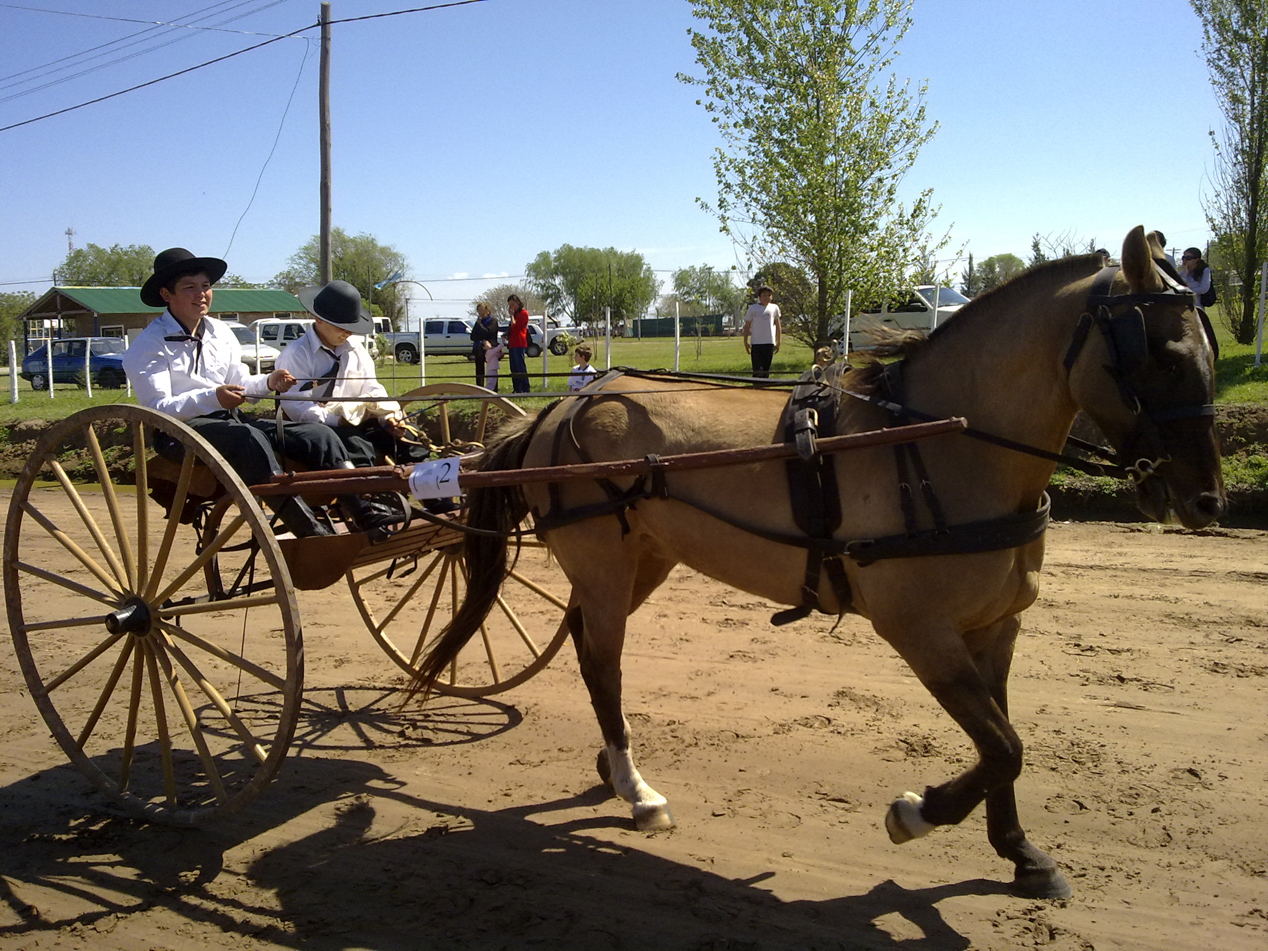 fotos/2010-10-10 - Fiesta del cordero/10102010659.jpg